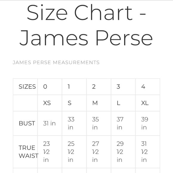 JAMES PERSE Sherpa Jaket Sz 3 Black Double Breasted Mock Neck Grunge Streetwear - Picture 14 of 14